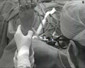 Programme complet du vendredi 18 mars 2016 (suite) Programme complet du vendredi 18 mars 2016 (suite)