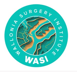 Samedi 3 février - Formation AFISO / WASI : « De l’indication à l’aspect technique de la chirurgie de l’épaule : tout ce que doit savoir le personnel de salle d’opération ! »